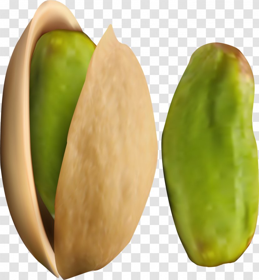 Plant Fruit Food Natural Foods Tree - Chayote - Scarlet Gourd Transparent PNG