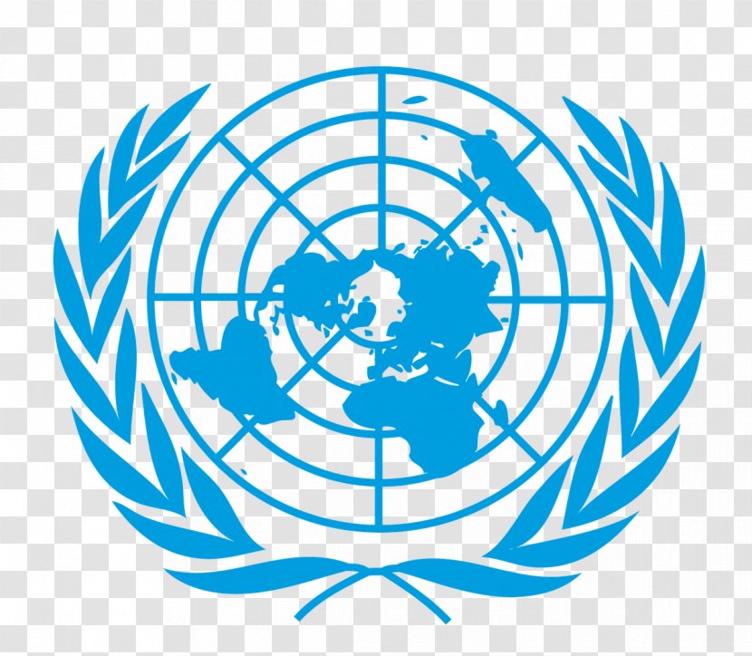 United Nations Office For The Coordination Of Humanitarian Affairs Conference On Trade And Development Management Organization - Business - Sphere Transparent PNG