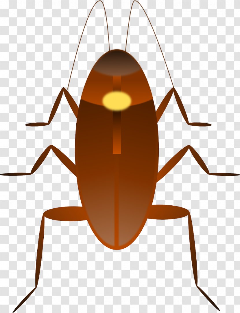 Dr. Cockroach Clip Art - Brown - Pest Transparent PNG
