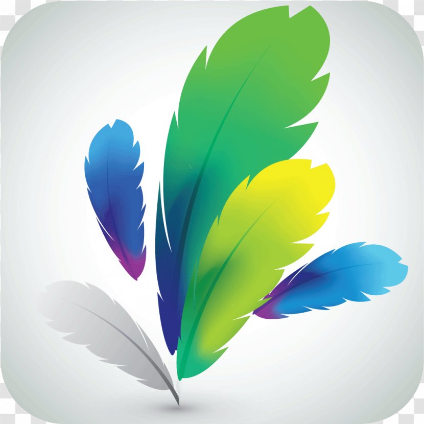 Royalty-free Drawing - Graphic Arts - Feathers Transparent PNG