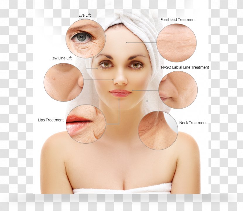 Cheek Skin Forehead Exfoliation Beauty - Jaw Transparent PNG