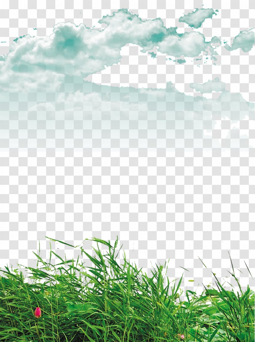 Lawn Clip Art - Landscape - Blue Sky And White Clouds Transparent PNG