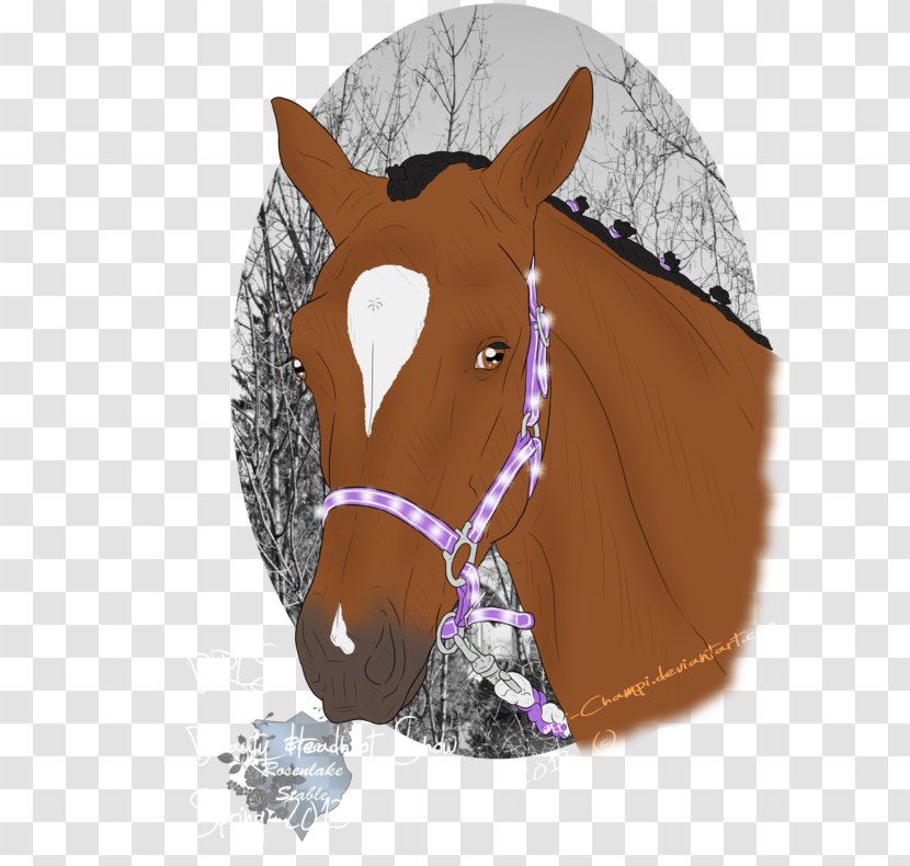 Halter Mustang Rein Bridle Pack Animal Transparent PNG