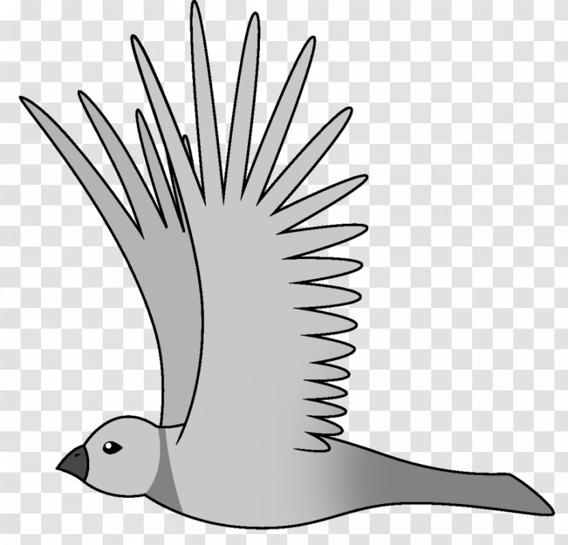 Bird Flight Animation - Beak - Flying Transparent PNG