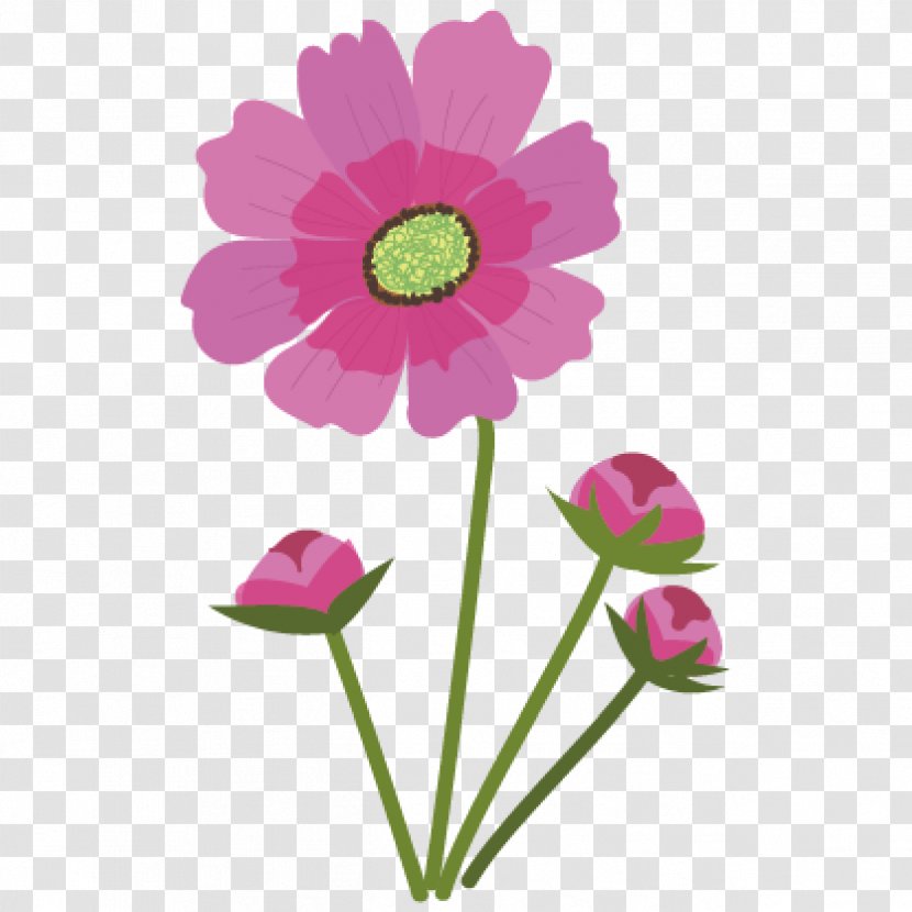 Chocolate Cosmos Flower Pink Anthesis - Daisy Family Transparent PNG