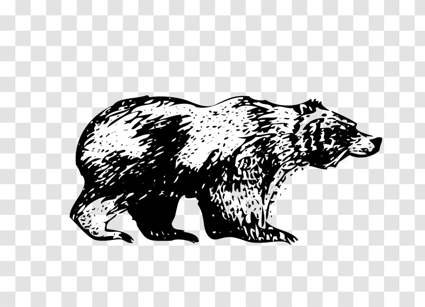 Grizzly Bear Drawing /m/02csf White Transparent PNG