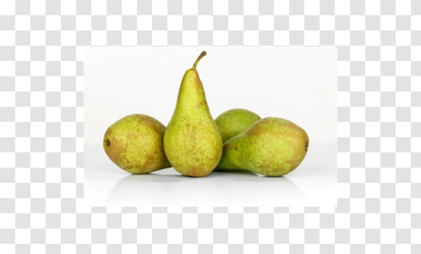 Conference Pear Bavarian Cream Fruit Charneuská - PEER Transparent PNG