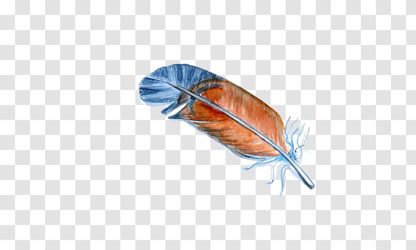 Bird Feather Illustration - Drawing - Hand-painted Color Transparent PNG