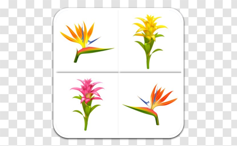 Cut Flowers Plant Stem Leaf Petal Clip Art - All Vector Transparent PNG