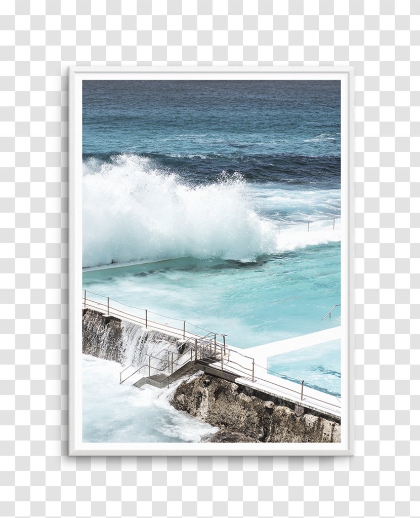 Bondi Beach Icebergs Club POOL Photography Poster - Coast - Monstera Watercolor Transparent PNG