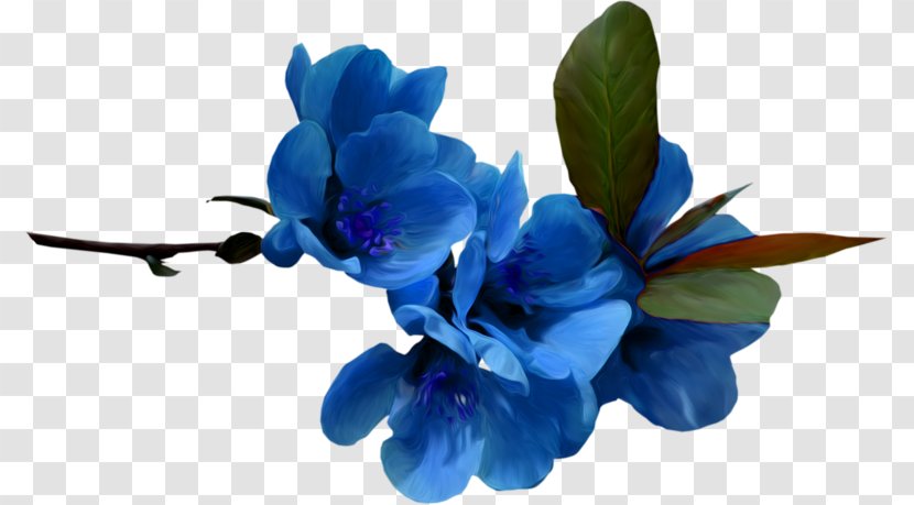 Blue Flower Color Desktop Wallpaper - Cut Flowers Transparent PNG