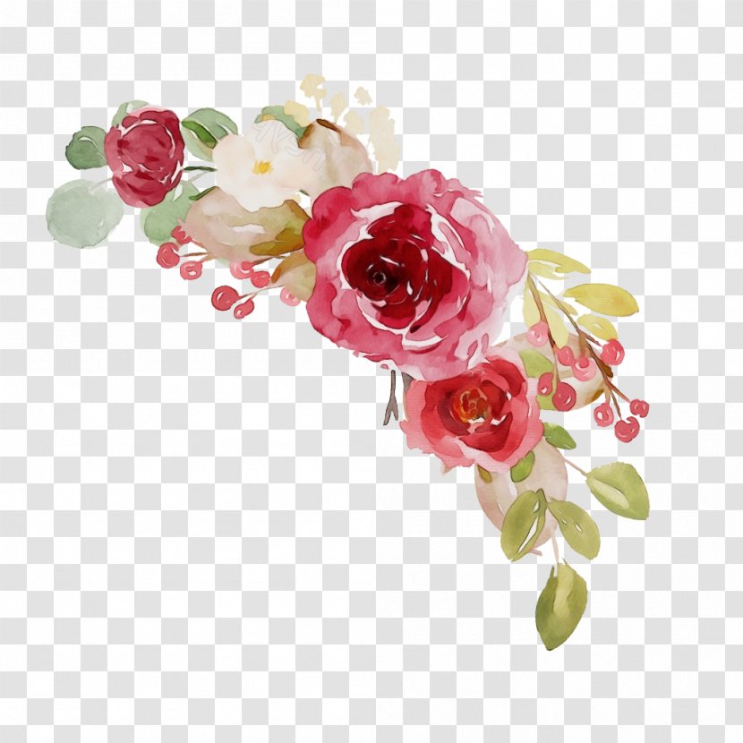 Watercolor Flower Background - Orchid - Prickly Rose Transparent PNG