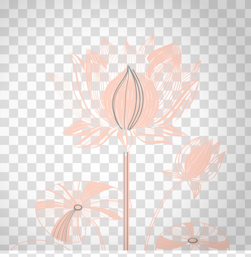 Floral Design Art Petal - Plant - Creative Vector Lotus Transparent PNG