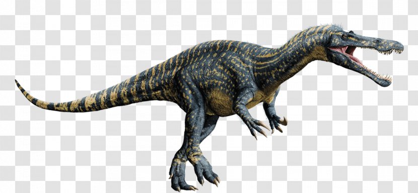 Baryonyx Spinosaurus Suchomimus Tyrannosaurus Microceratus - Jurassic Park Transparent PNG