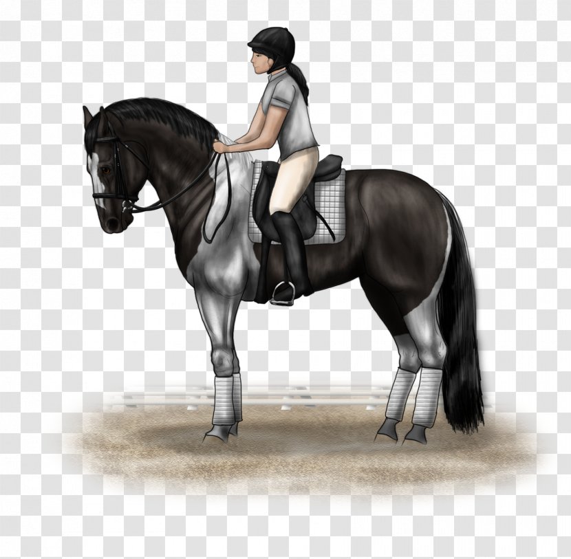 Hunt Seat Horse Equestrian Bridle Stallion - Mane - Three Black Friends Turning Up Transparent PNG