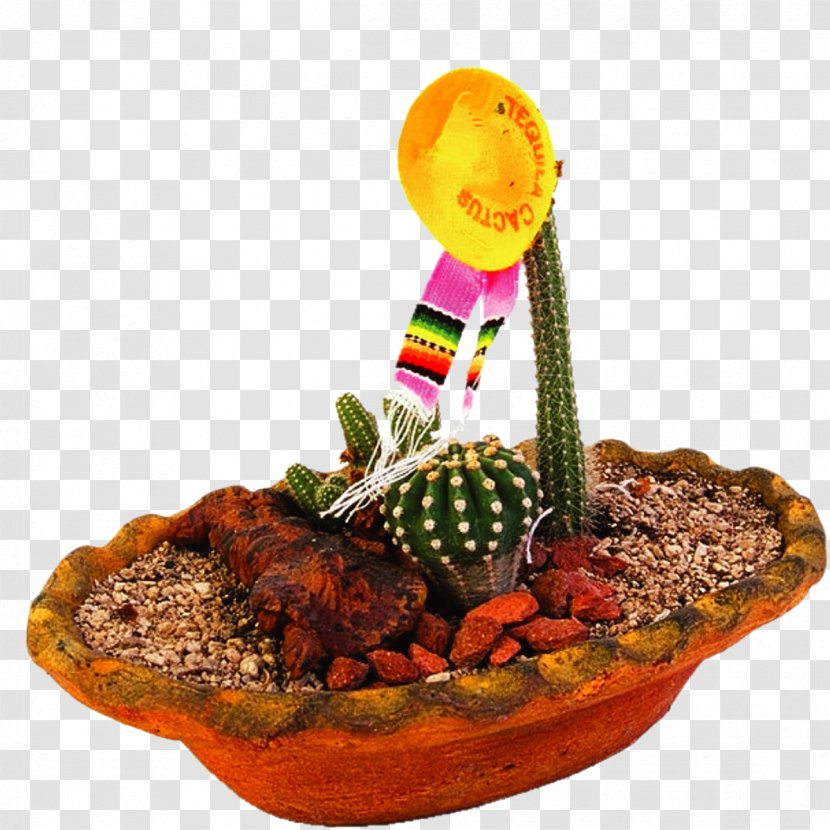 Cactaceae Bonsai - 3d Computer Graphics - Cactus Transparent PNG