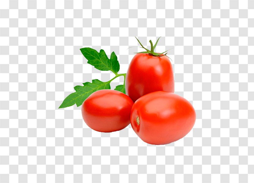 Italian Cuisine Roma Tomato Plum Soup Vegetable - Can Transparent PNG