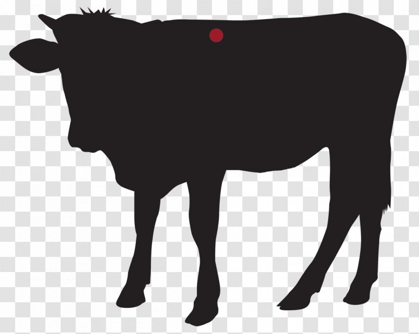 Dairy Cattle Calf Ox Bull Transparent PNG