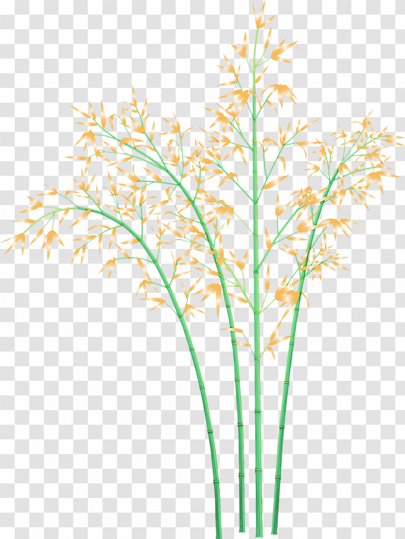 Plant Grass Flower Plant Stem Grass Family Transparent PNG