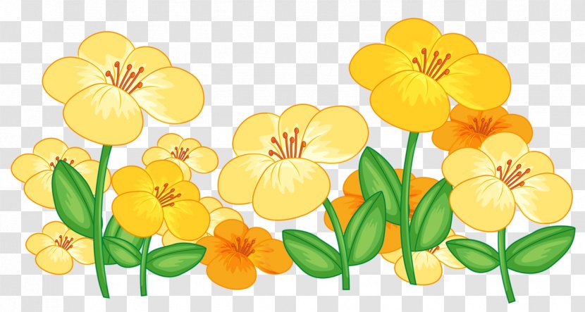 Flower Drawing Clip Art Image - Wildflower Transparent PNG