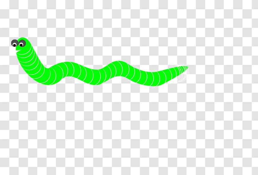 Earthworm Clip Art - Green - Computer Worm Transparent PNG