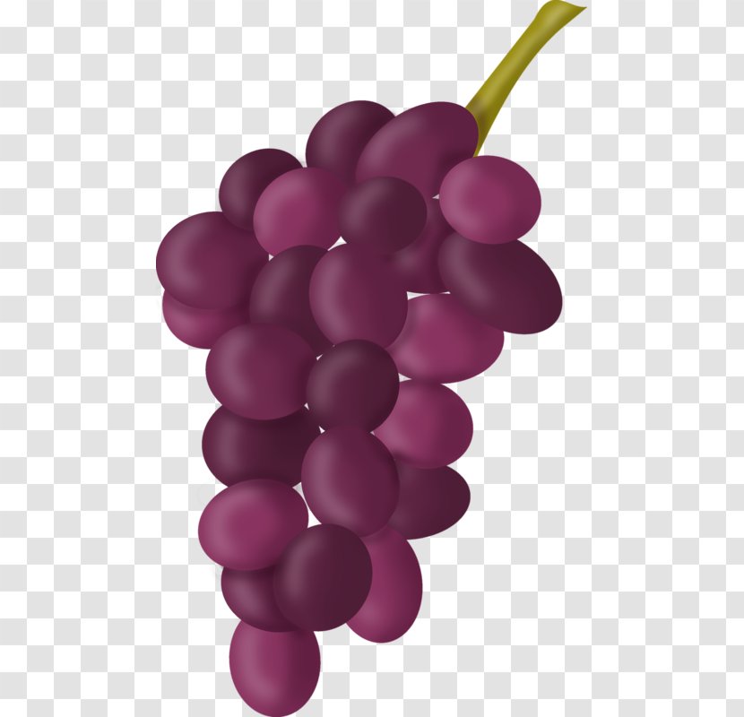 Common Grape Vine Seed Extract Photography Clip Art - Fruit Transparent PNG