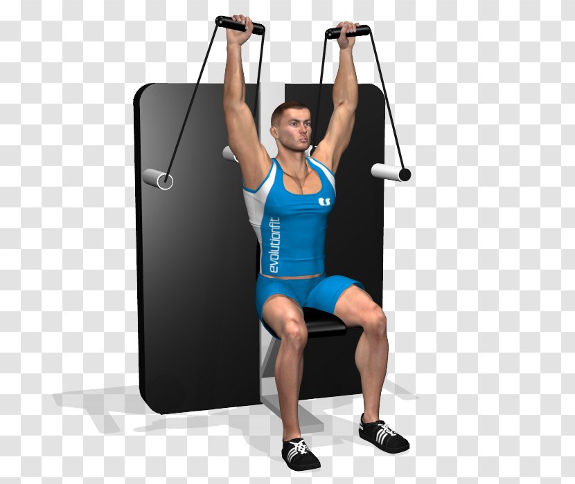 Weight Training Shoulder Deltoid Muscle Cable Machine Calf - Flower - Press Transparent PNG