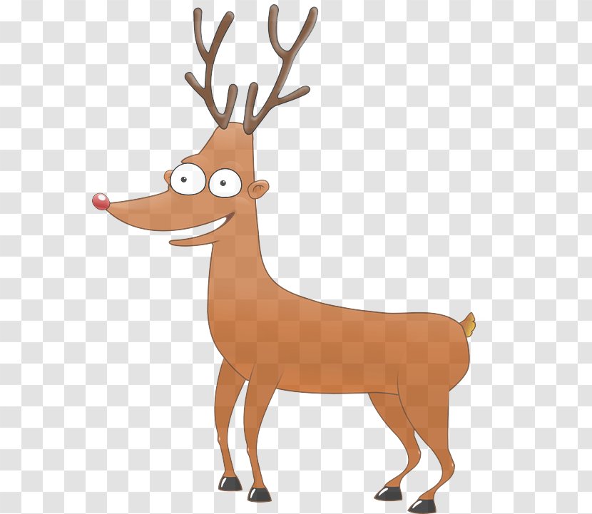 Reindeer - Deer - Tail Elk Transparent PNG