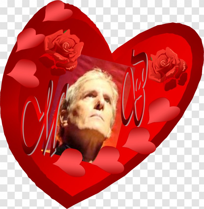 Valentine's Day Flower Heart - Happy Transparent PNG
