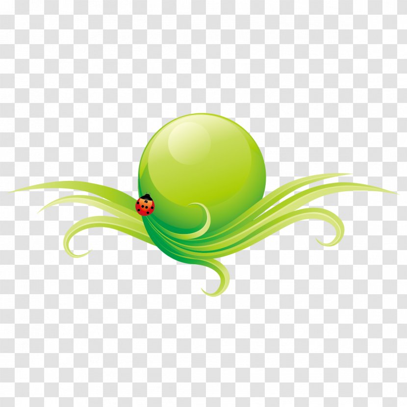 Insect - Ladybird - And Green Leaf Transparent PNG