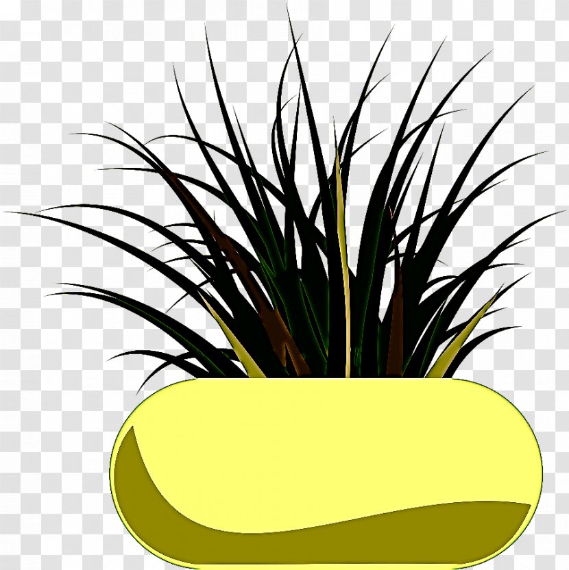 Grass Plant Houseplant Yellow Flowerpot - Flower - Family Transparent PNG