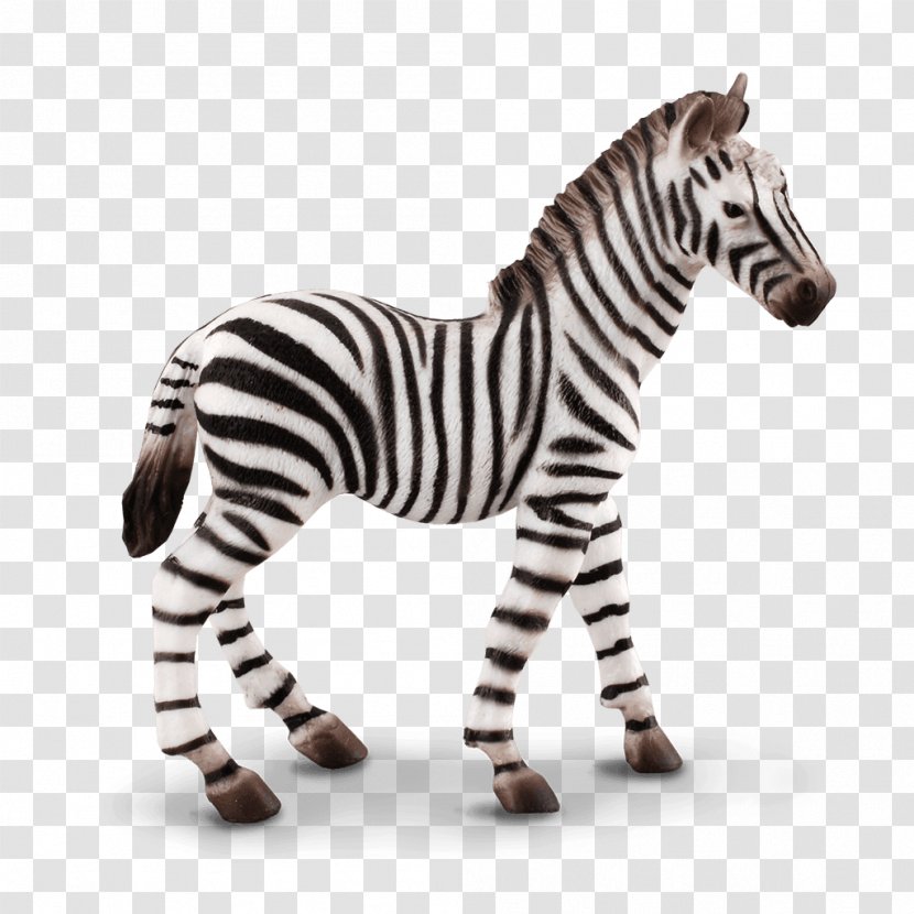 Collecta Small Zebra Foal Figure Action & Toy Figures Schleich PVC 14393 Loose Used - Mammal Transparent PNG