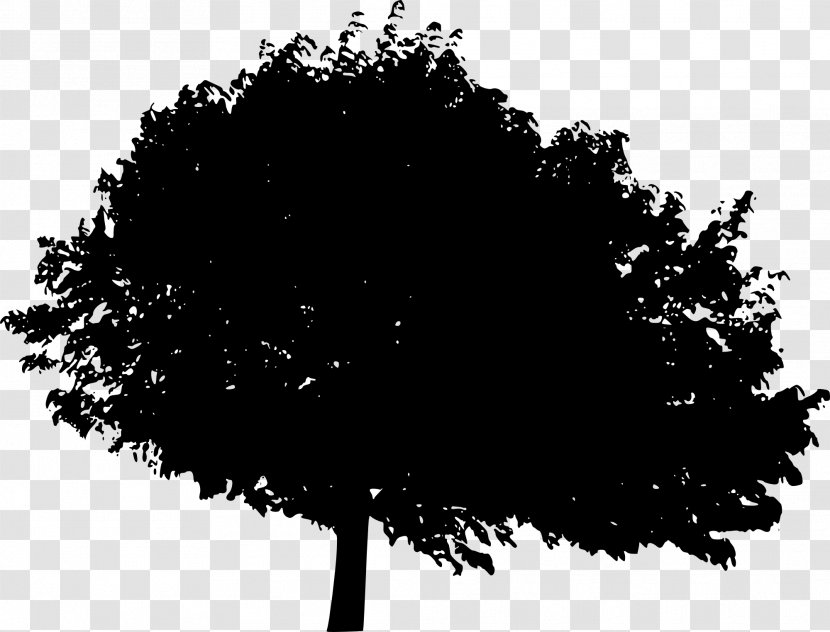 Tree Silhouette Desktop Wallpaper Woody Plant - Monochrome Transparent PNG