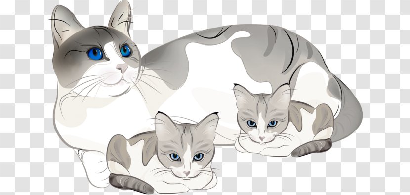 Kitten Cat Clip Art - Domestic Short Haired - Scrutinize Cliparts Transparent PNG
