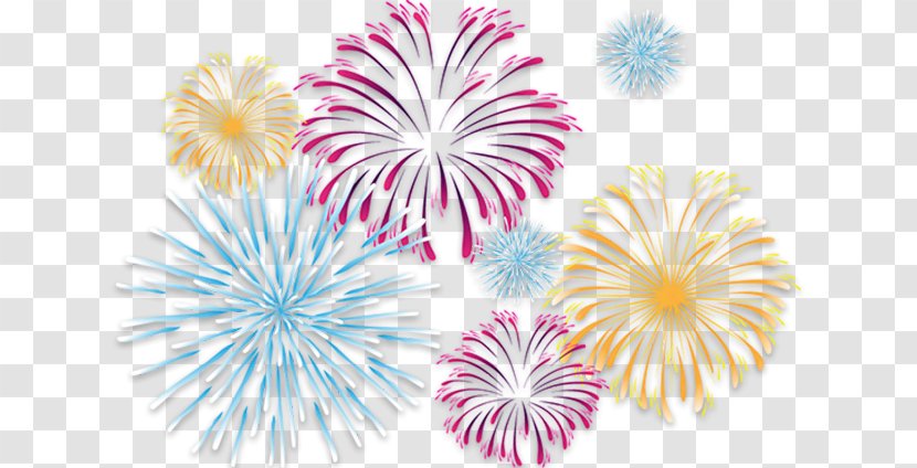 Clip Art - Flowering Plant - Fireworks Transparent PNG