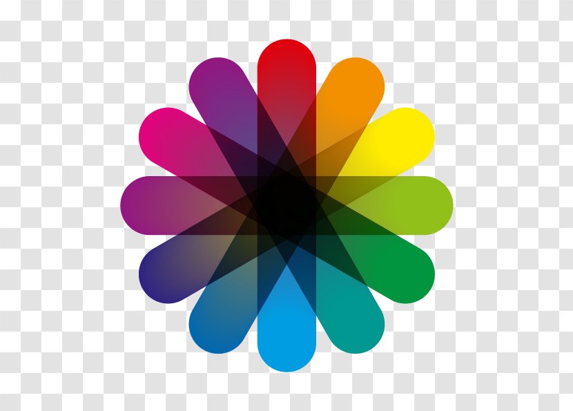 Complementary Colors Color Wheel IPhone - Royaltyfree - Iphone Transparent PNG