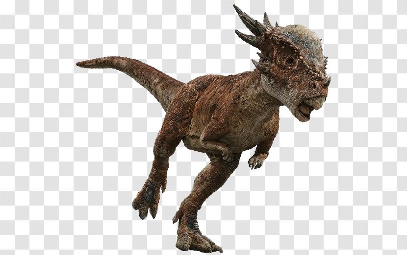 Stygimoloch Tyrannosaurus Universal Pictures Baryonyx Dracorex - Jurassic World Fallen Kingdom - Dinosaur Transparent PNG