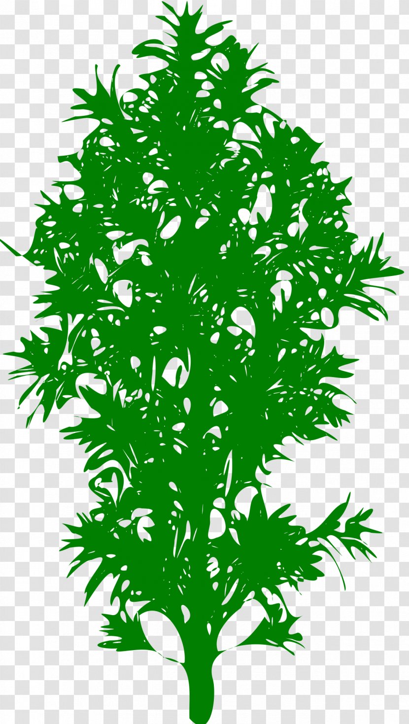 Leaf Plant Stem Line Branching - Tree Transparent PNG