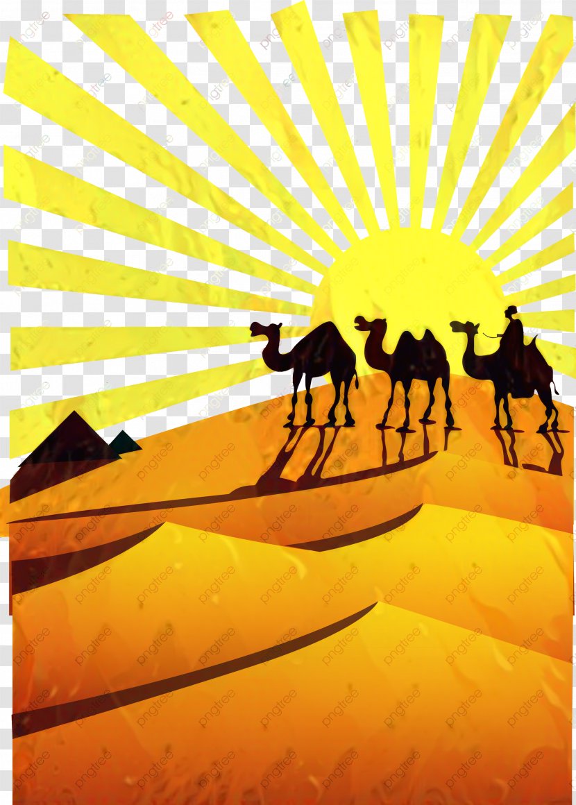 Qisas Al-Anbiya Prophets And Messengers In Islam Quran Vector Graphics - Camel - Camelid Transparent PNG