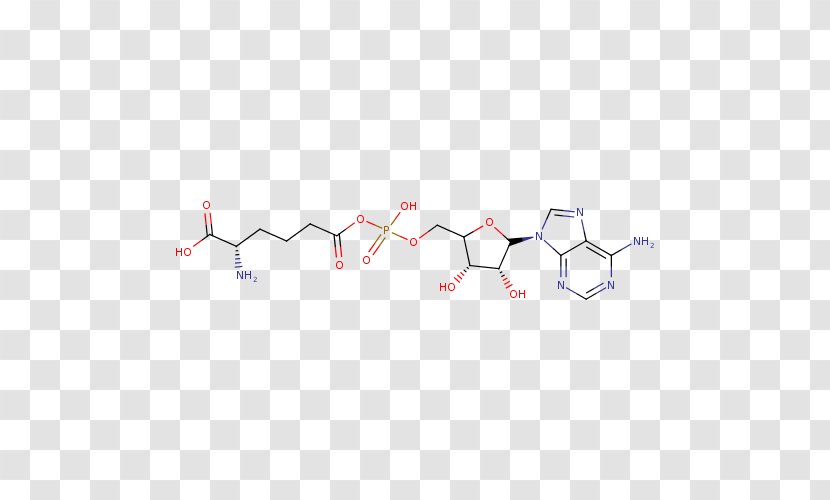 Methyl Methacrylate Polymer Methacrylic Acid - Text Transparent PNG