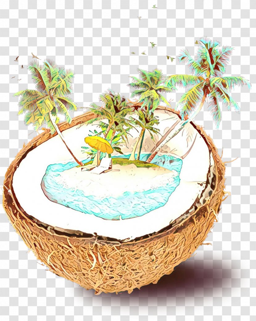Coconut Tree Cartoon - Houseplant - Bird Nest Transparent PNG