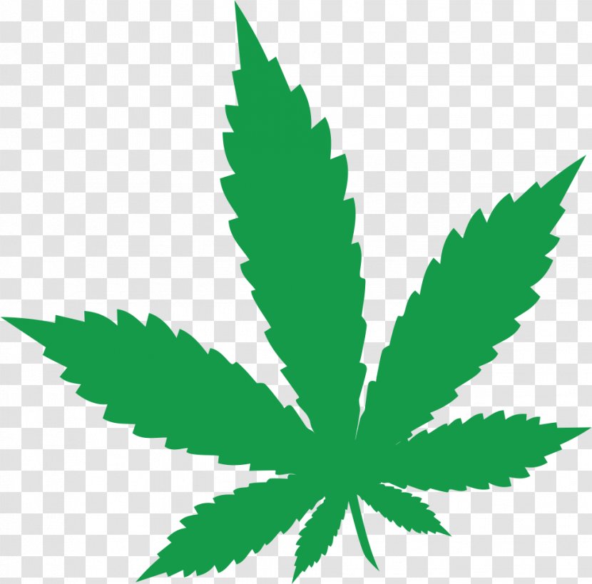 Medical Cannabis Cannabidiol Dispensary Kong Force - Hashish Transparent PNG