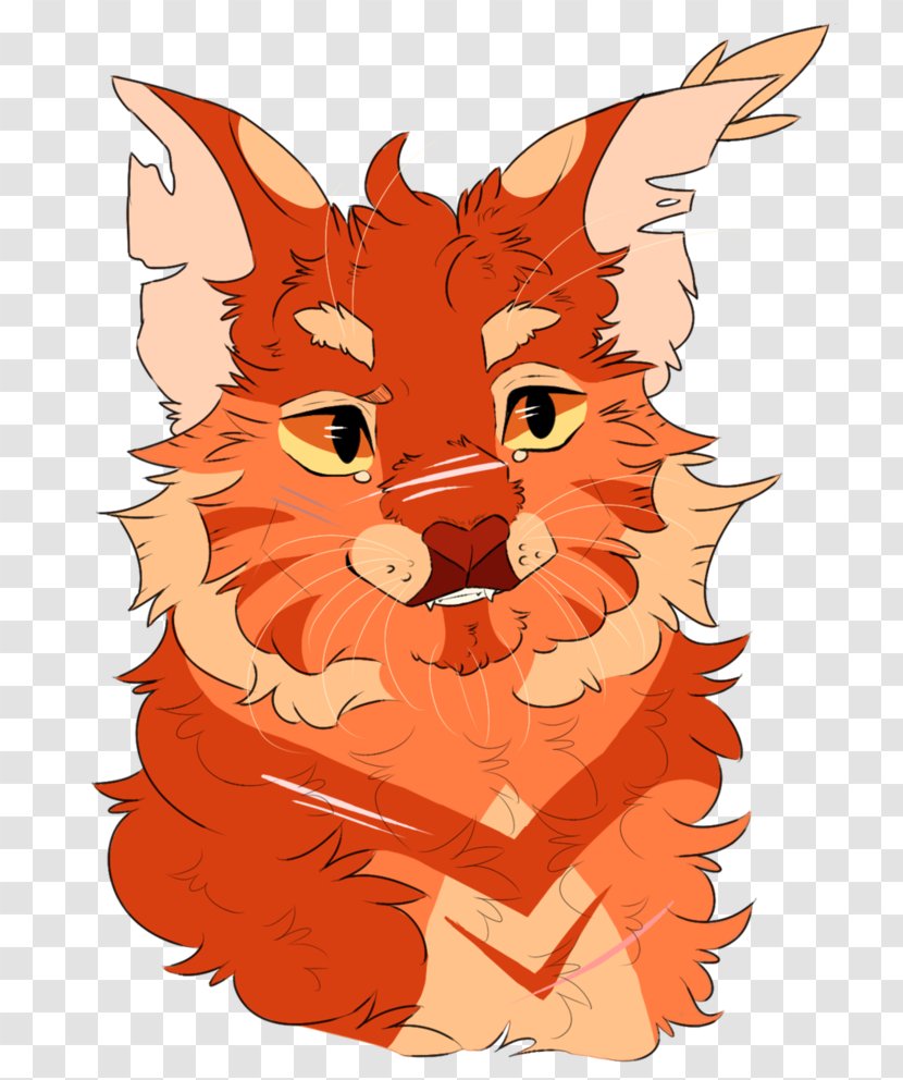 Whiskers Red Fox Cat Paw - Mammal Transparent PNG