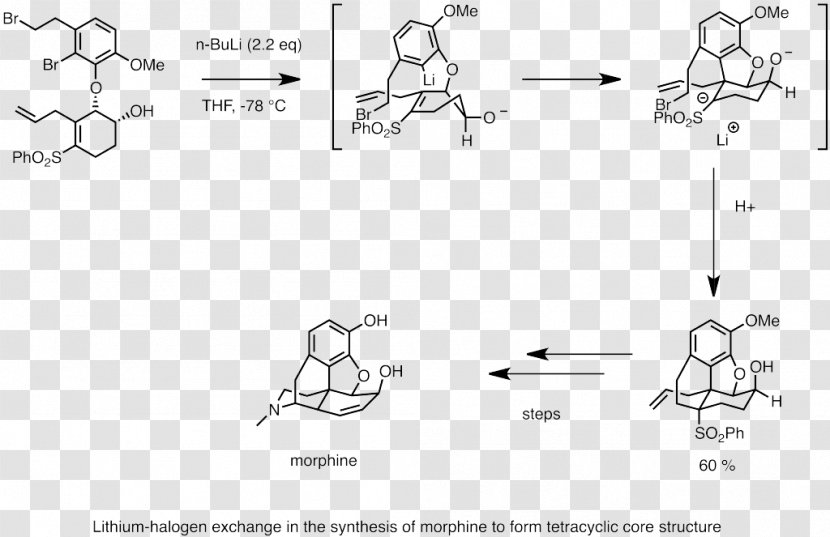 Chemical Synthesis Reagent Total Of Morphine And Related Alkaloids Wikipedia Chemistry - Reactivity Transparent PNG