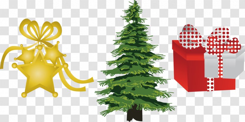 Ilex Crenata Evergreen Tree Pine Clip Art - Shape - Creative Christmas Transparent PNG