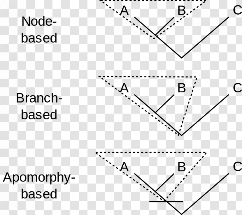 Clade Synapomorphy And Apomorphy Phylogenetic Nomenclature Cladistics Holophyly - White - Tree Transparent PNG