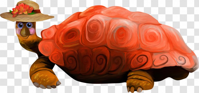 Tortoise Pond Turtles - Organism - Turtle Transparent PNG