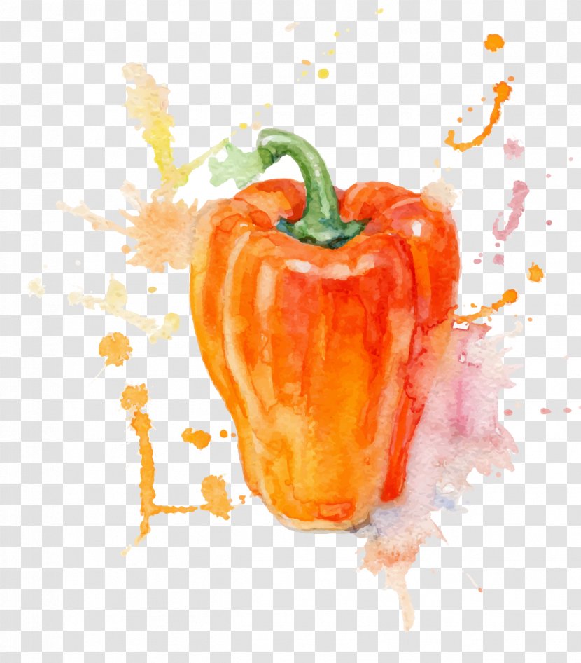 Watercolor Painting Vegetable Illustration - Fruit - Drawing Large Pepper Transparent PNG