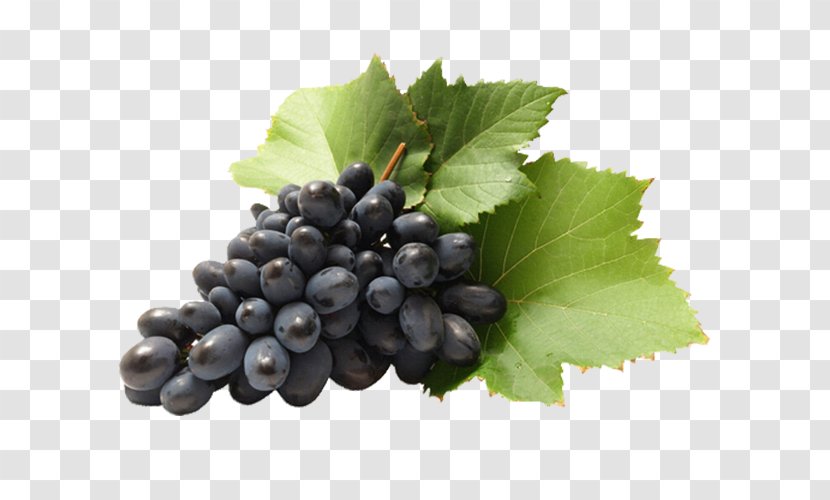 Sultana Grape Wine Cabernet Sauvignon Seedless Fruit Transparent PNG