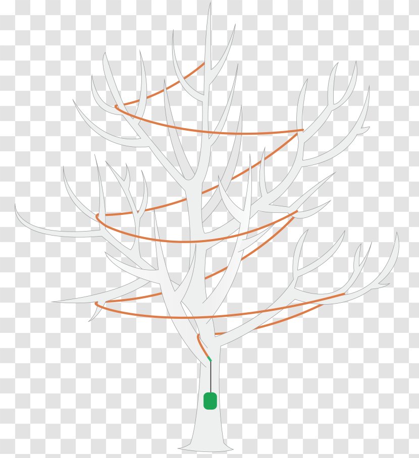 Line Table-glass - Drinkware - Tie Branch Chaos Transparent PNG